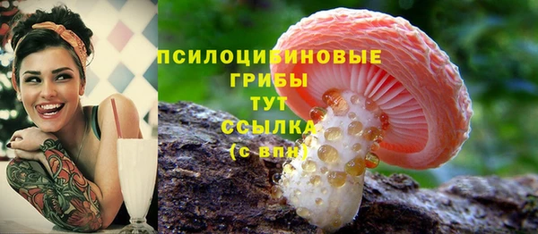сатива Белоозёрский