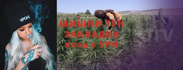 сатива Белоозёрский