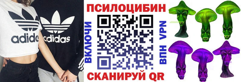 Псилоцибиновые грибы прущие грибы  Гусев 