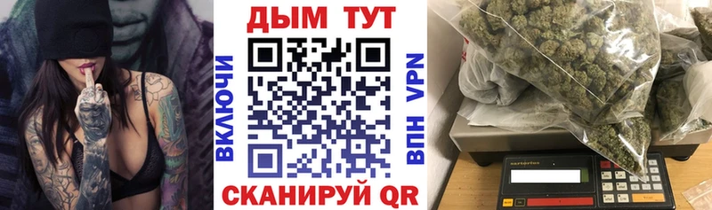 Канабис планчик Гусев